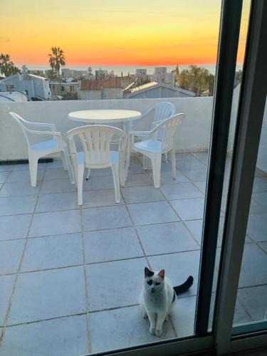 Chlorakas Apartment | 260 m to Beach, Sea&Sunset view terrasa