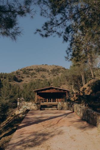Lemithou Other | Bosco Paradiso