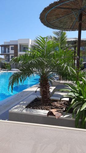 Paralimni Apartment | Cosmos Residence