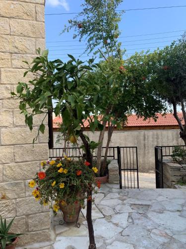 Pachna House | Cosy Piano village cottage in Pachna