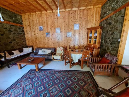Kalopanayiotis Villa | Elpiniki's Old House