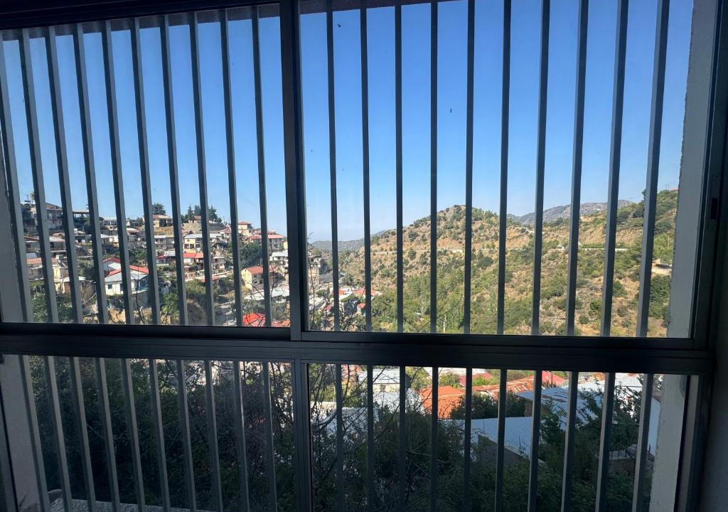 Vasa Koilaniou Apartment | Gerakies Escape, Stunning Mountain Views