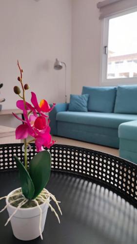 Kapparis House | Lovely holiday home,Kapparis,2 swimming pools,Wifi