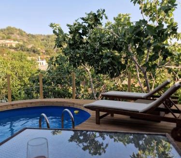 Agros Apartment | Aprosmeno House 3 With Private Pool