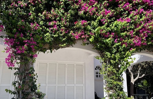 Peyia Town Villa | Best Location Cyprus Coral Bay 3BR Villa Private Pool Sandy Beach 50 m!