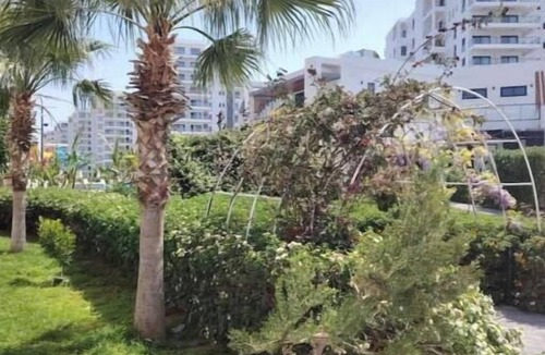 Bahceler Apartment | KKTC TRNC Caesar blue studio