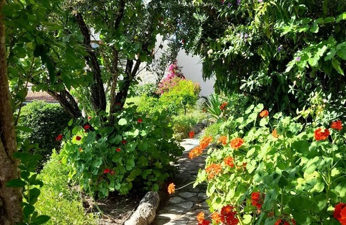 Lemona Cottage | Lantana Stone House. Where the wild thyme scents the stone.