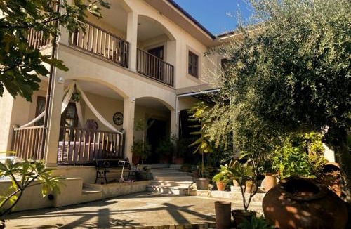 Anogyra House | Olive Tree House