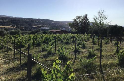 Pano Arodhes House | Pervolaris Cottages 2