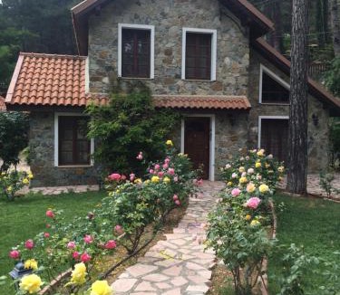Platres Villa | Rose Garden Platres