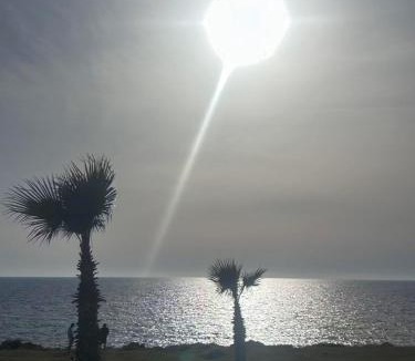 Paphos Apartment | Venus Cottage