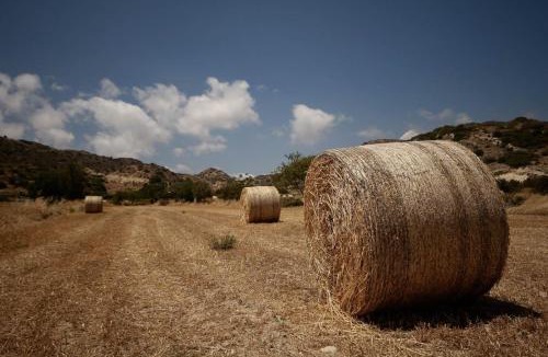 Pissouri Hotel | Vina Oliva Hotel