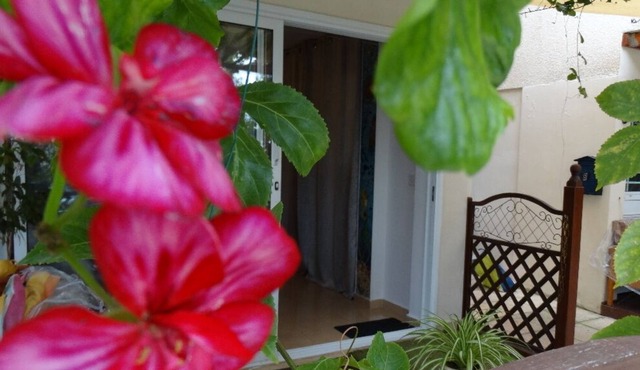 "Heart for Art" Studio Apartment 700m from the sea and close to amenities in Paphos