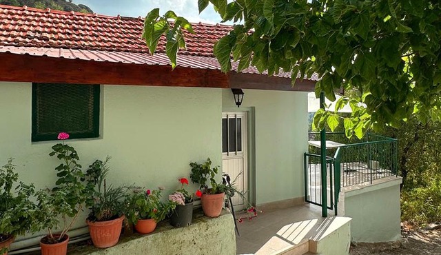 House of Vicky in Ayios Theodhoros