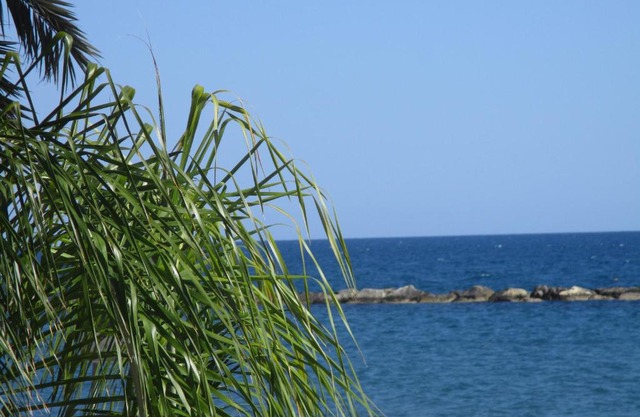 Galatex Beach 