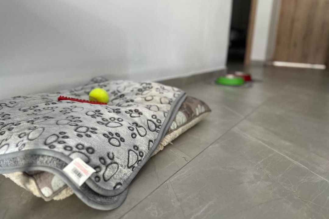 Paphos Apartment | DNMN Apartments