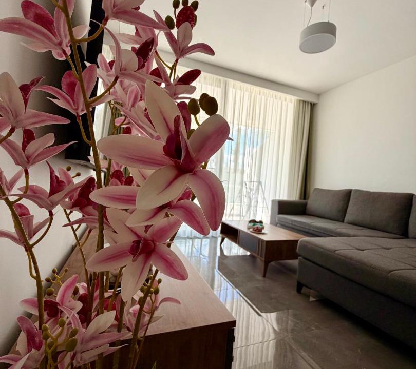 Trikomo Apartment | Grand Sapphire modern 2 Bedroom Apartment with Terrace