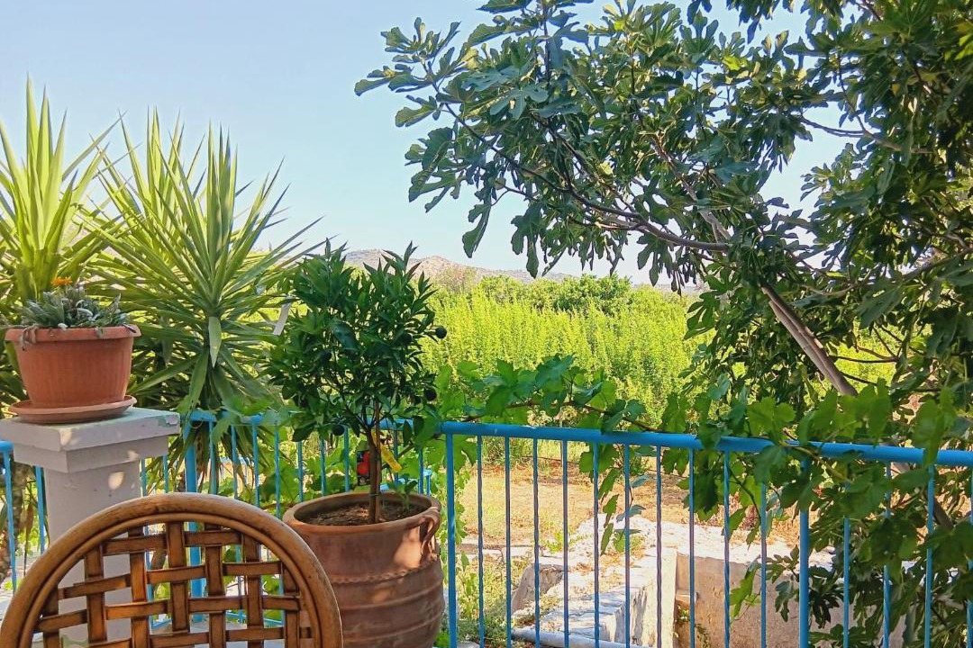 Vasa Koilaniou House | The Orangerie Mountain Village House