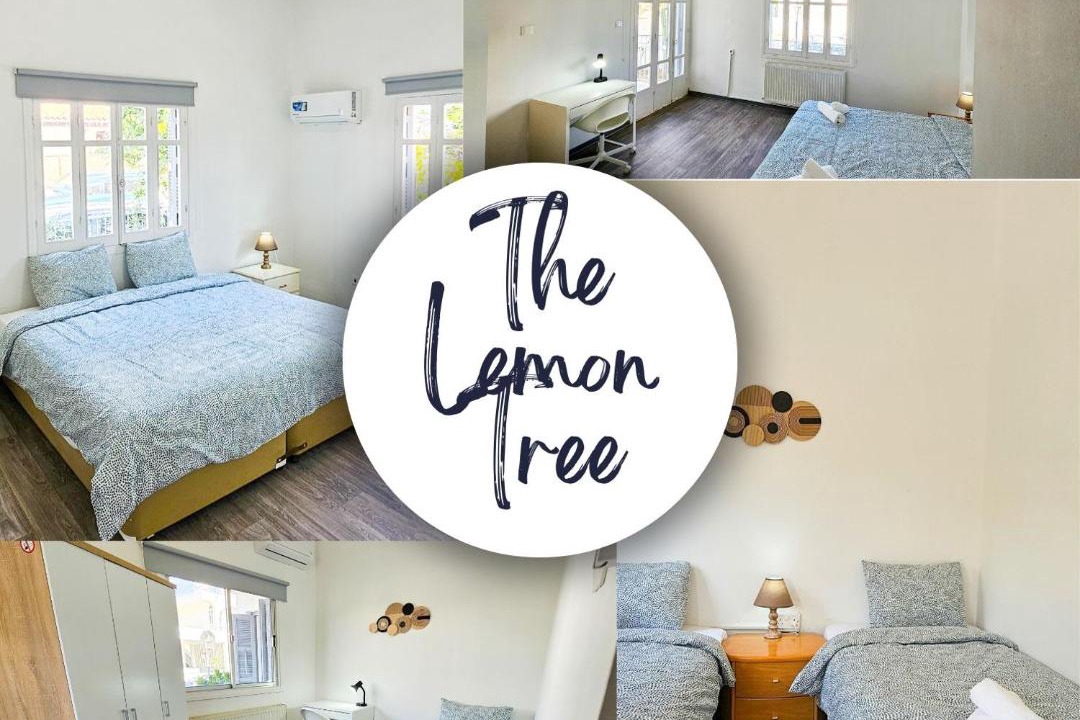 Larnaca Hostel | The Lemon Tree Hostel