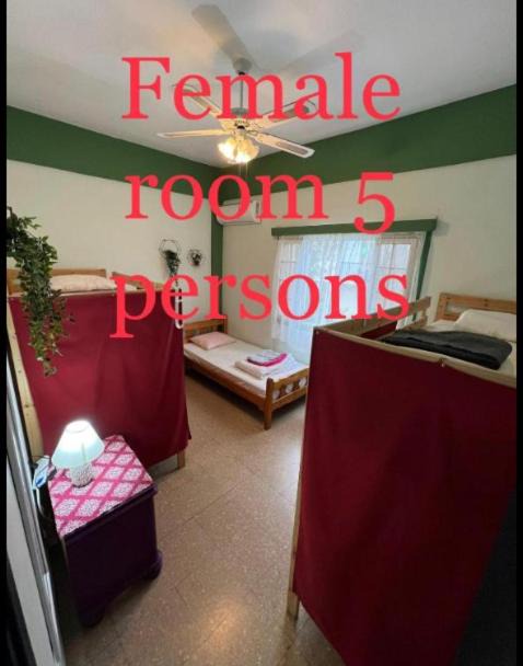 Larnaca City Centre Hostel | Past or Tail hostel