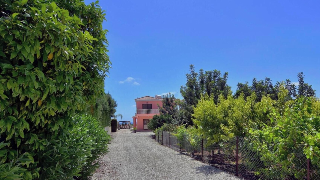 Photo of Outdoor in Pegeia