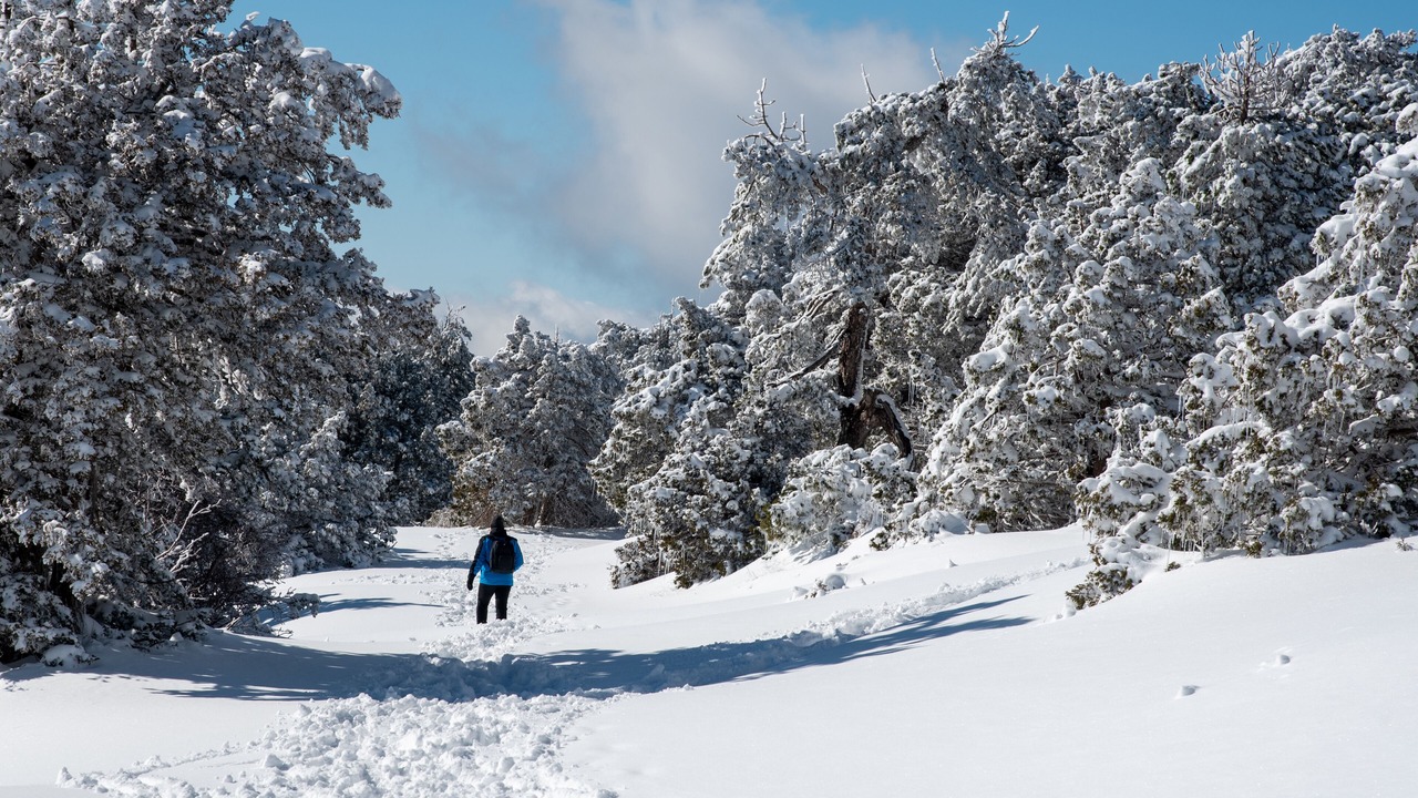 Photo of Outdoor in Vasa Koilaniou