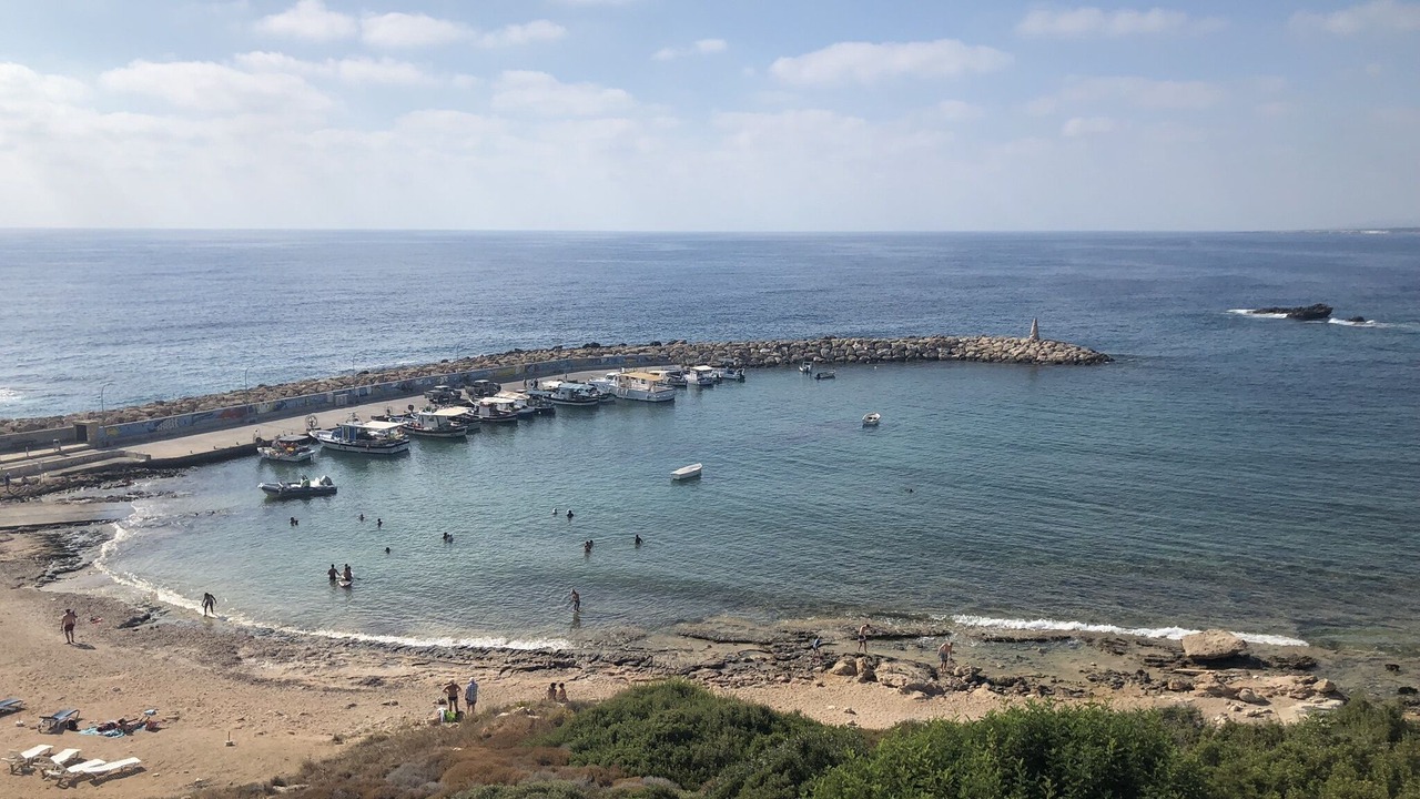Photo of Others in Tala