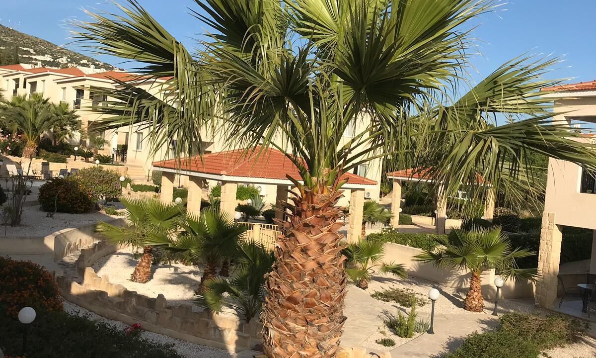 Photo of Outdoor in Tala