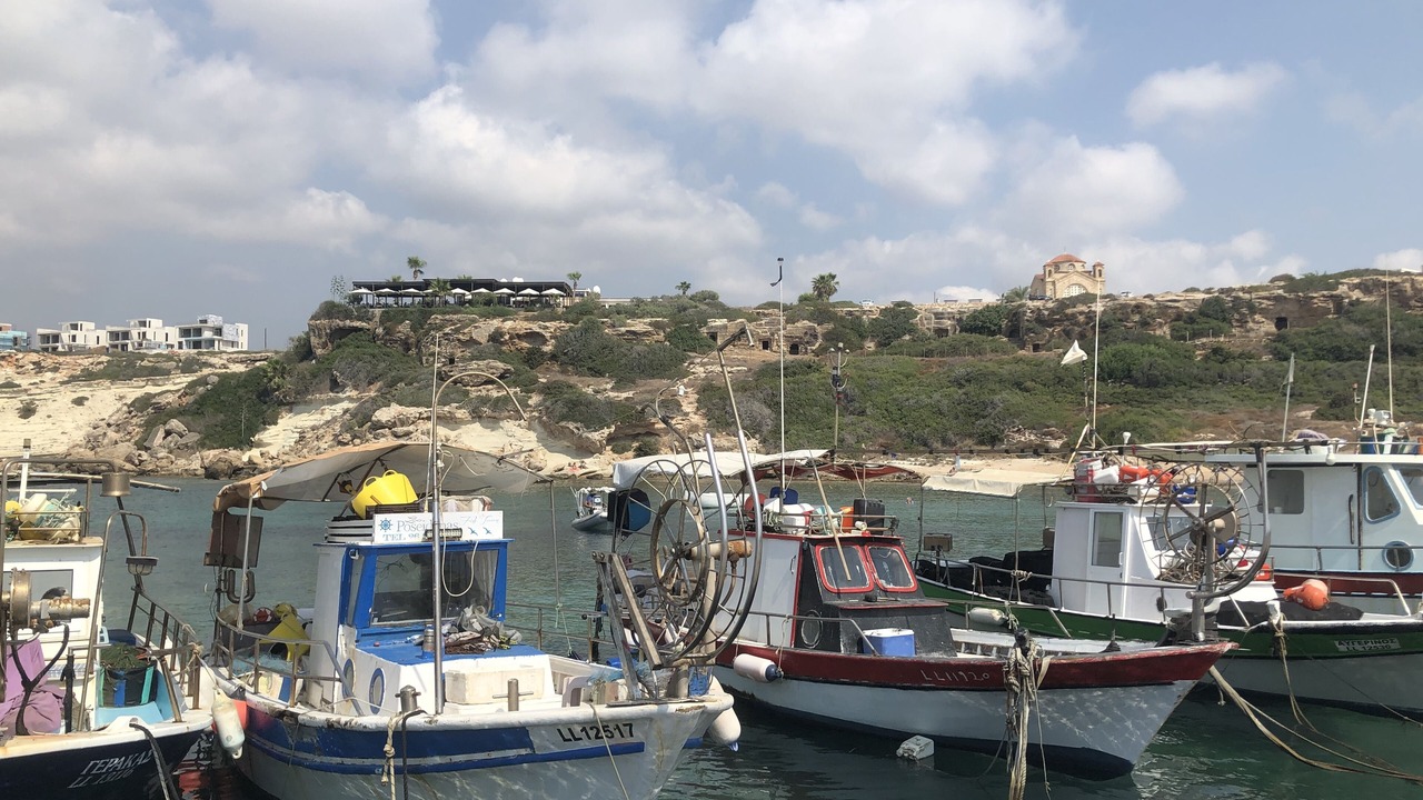 Photo of Others in Tala