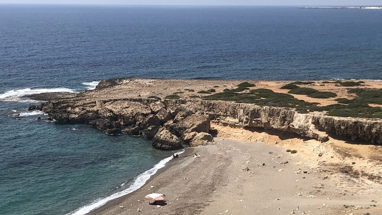 Photo of Others in Tala