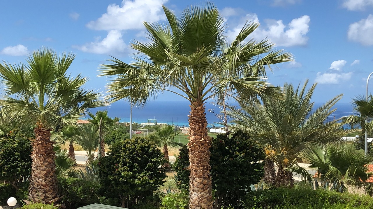 Photo of Outdoor in Tala