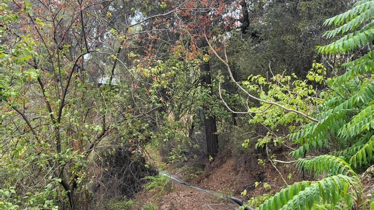 Photo of Others in Platres
