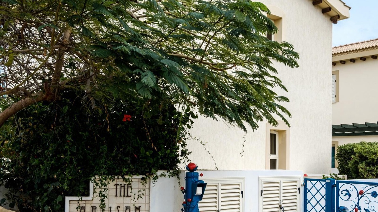 Photo of Others in Cape Greko