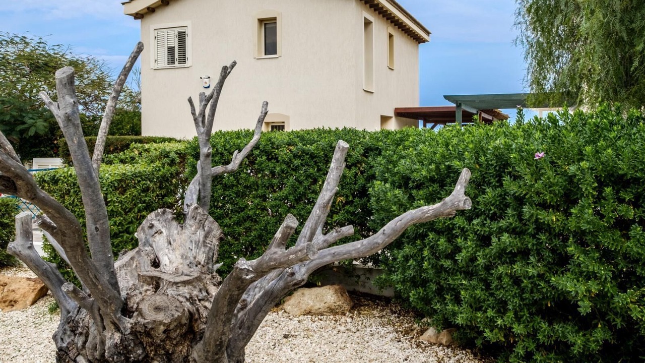 Photo of Others in Cape Greko