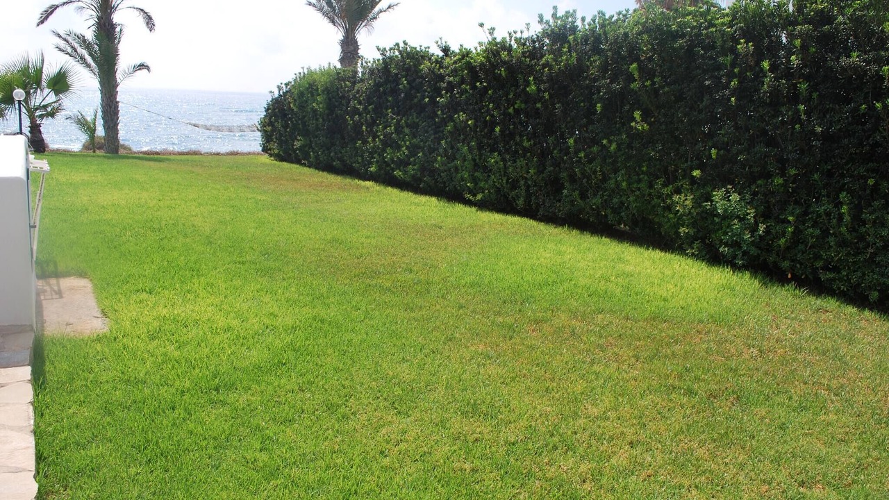 Photo of Outdoor in Kissonerga