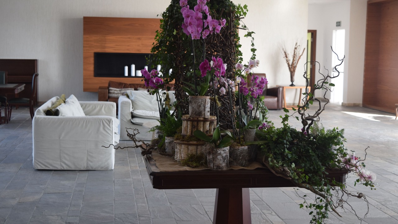 Photo of Others in Paphos