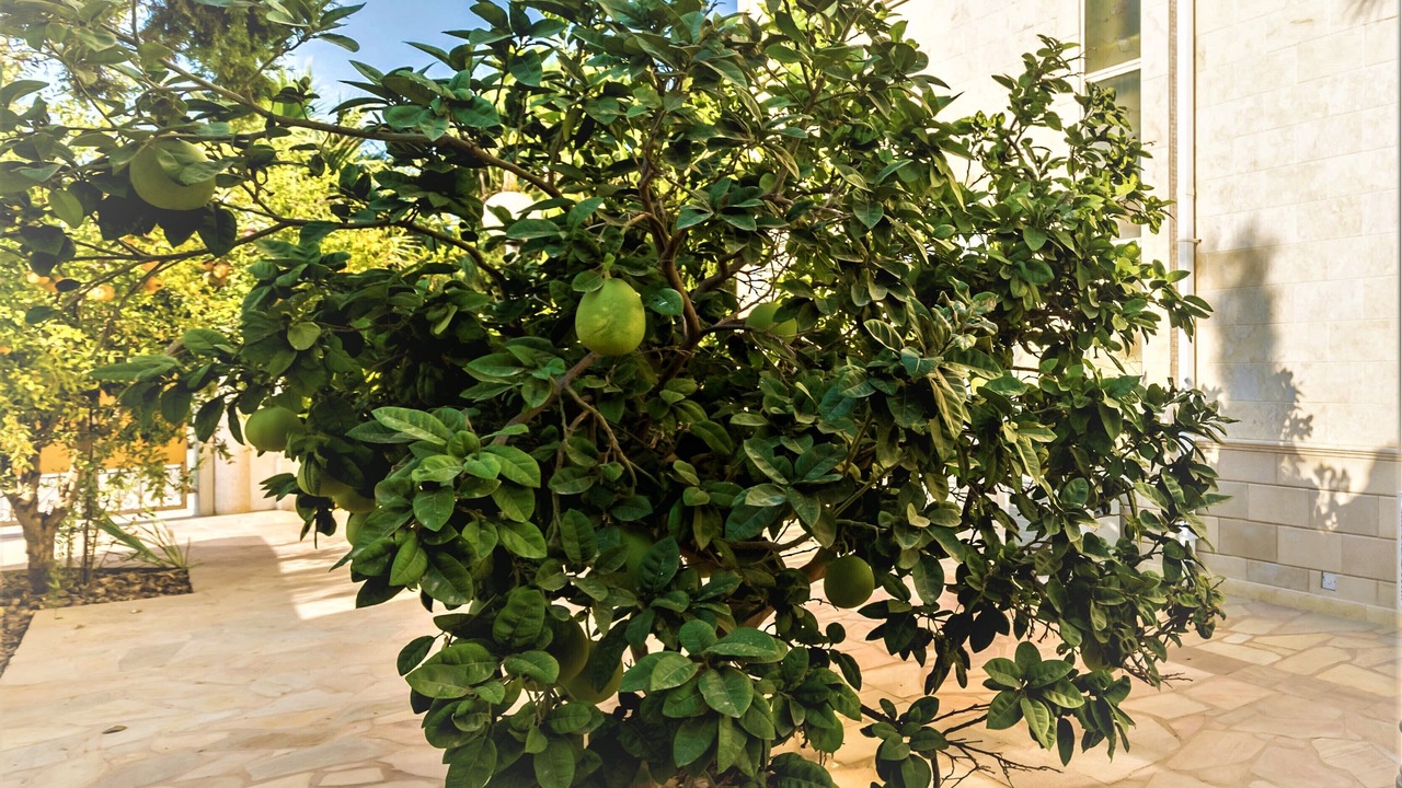 Photo of Outdoor in Ayia Napa