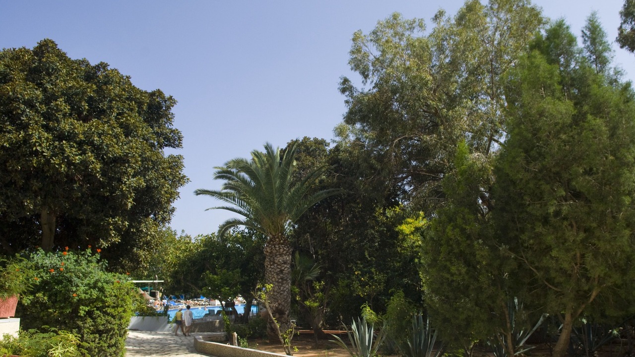 Photo of Outdoor in Ayia Napa