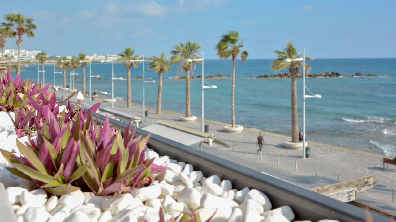 Photo of Others in Paphos