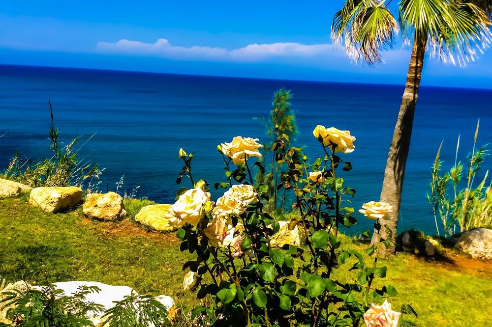 Photo of Outdoor in Pomos