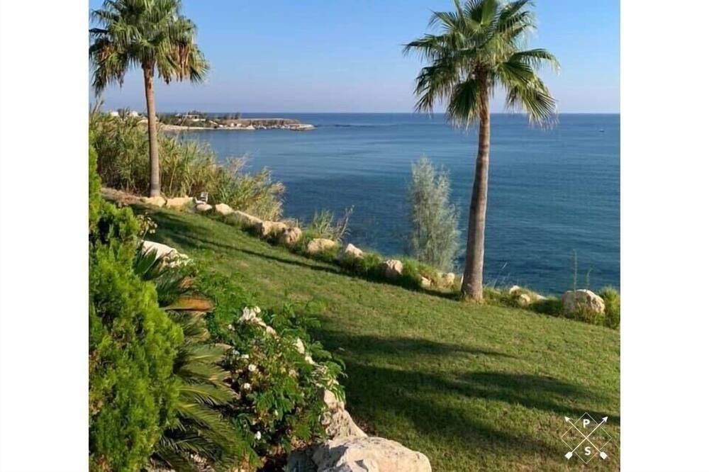 Photo of Others in Pomos