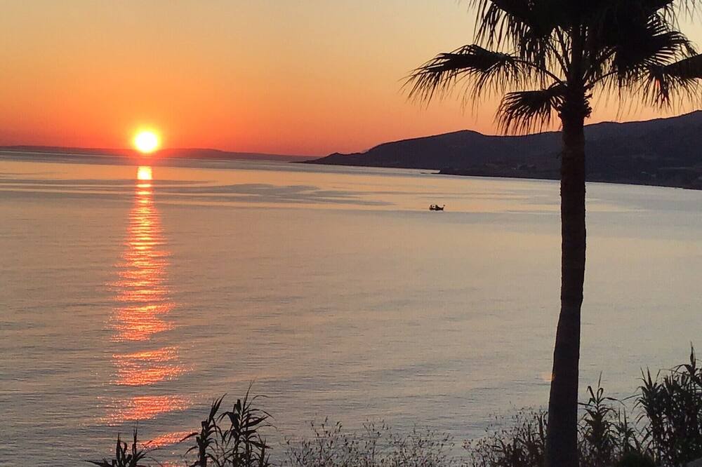 Photo of Others in Pomos