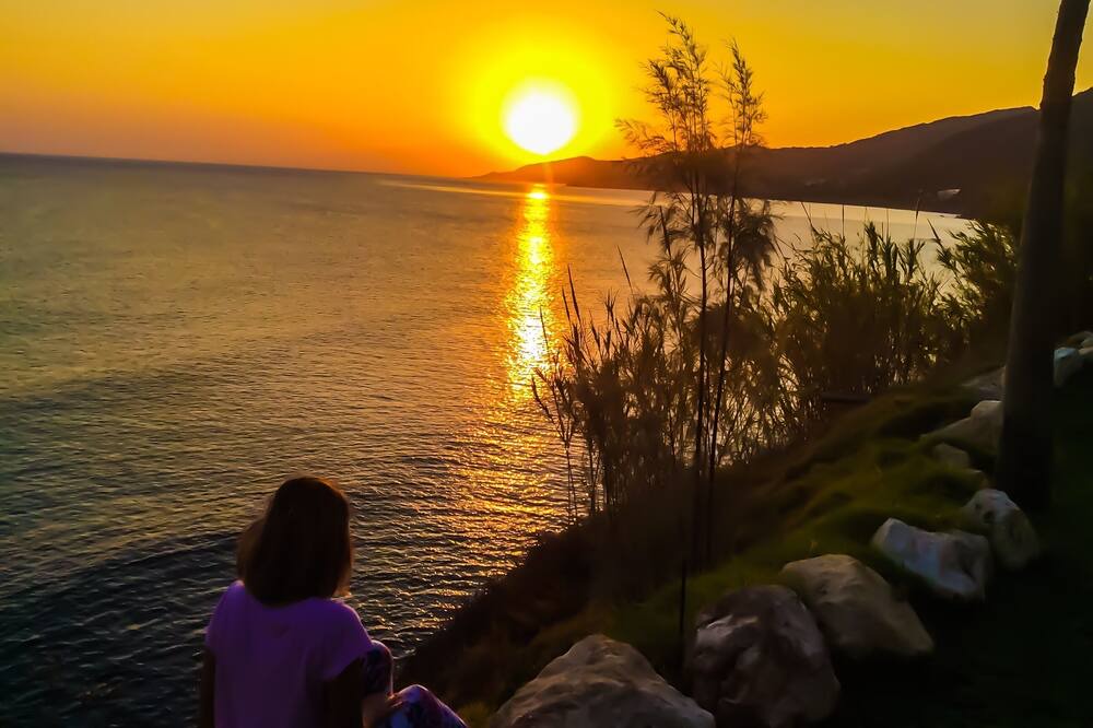 Photo of Others in Pomos