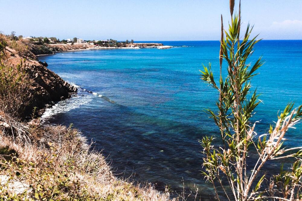 Photo of Others in Pomos