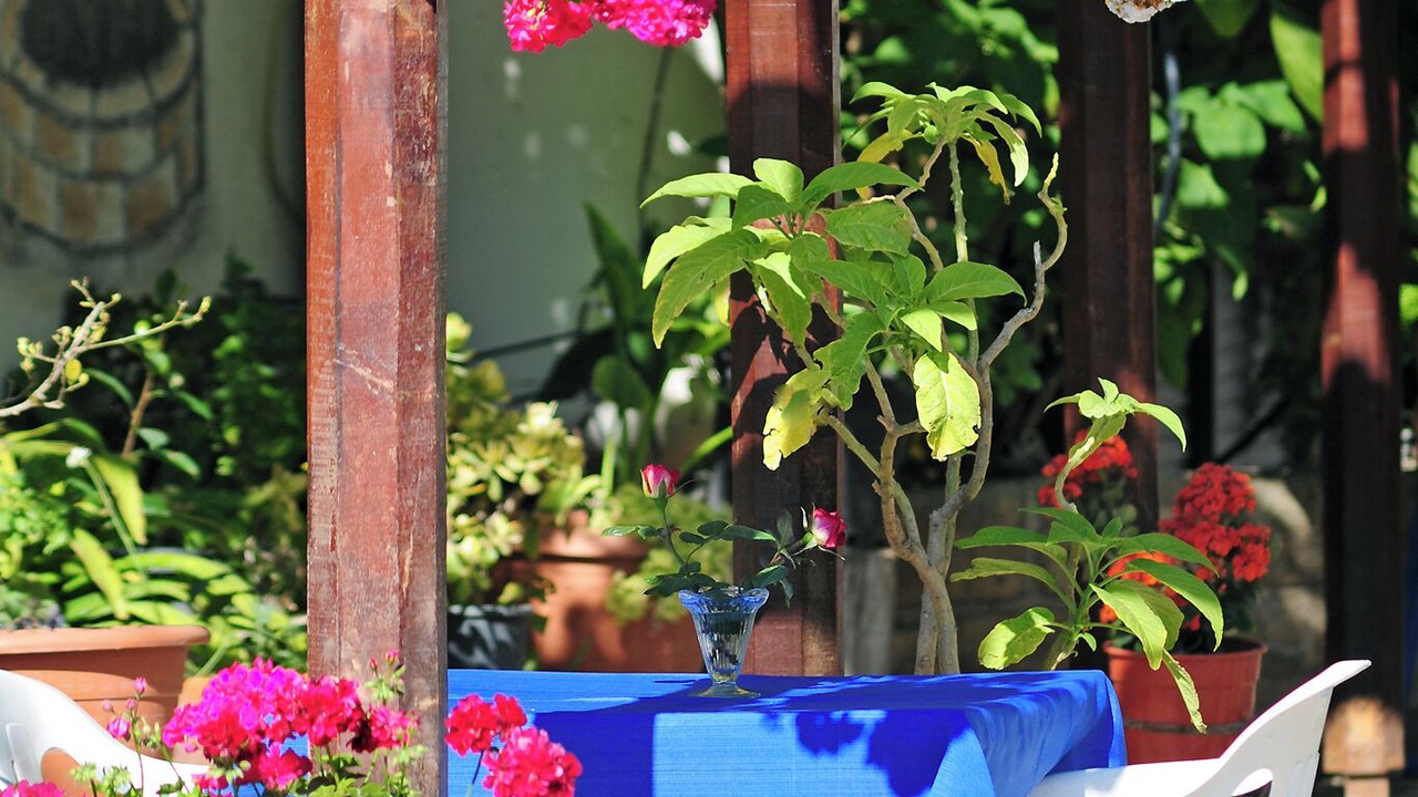 Photo of Patio Balcony in Polis