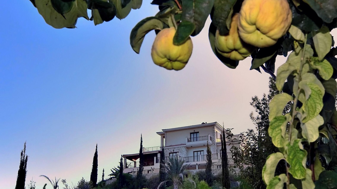 Photo of Outdoor in Argaka