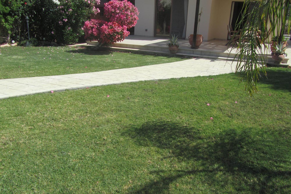 Photo of Outdoor in Pissouri