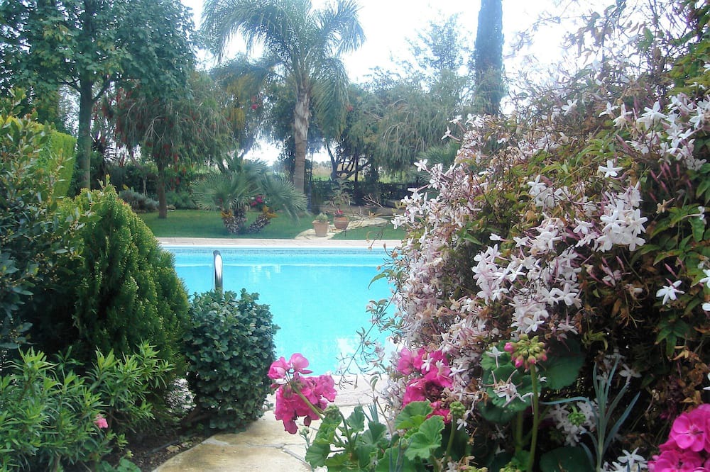 Photo of Outdoor in Pissouri
