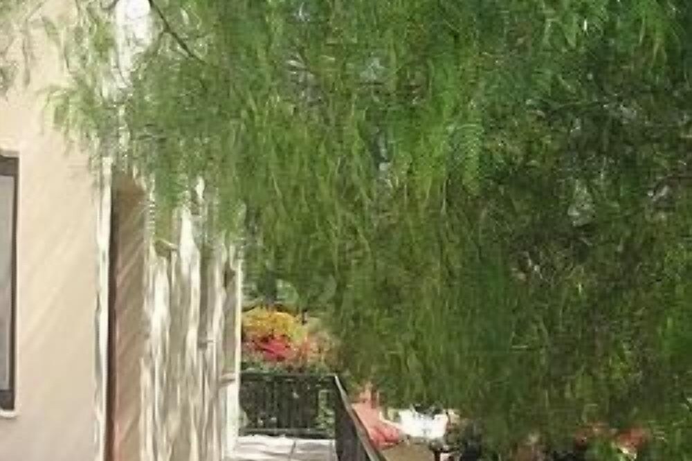Photo of Outdoor in Pissouri