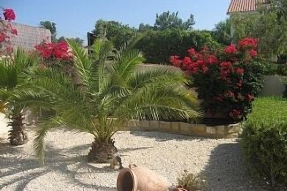 Photo of Outdoor in Pissouri